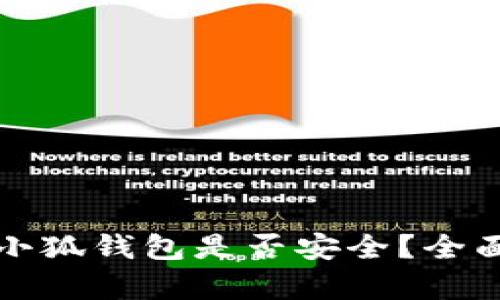 谷歌浏览器安装小狐钱包是否安全？全面解析与用户指南