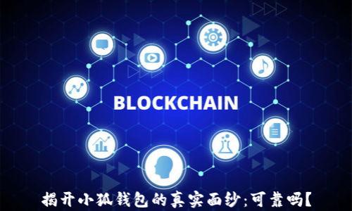 
揭开小狐钱包的真实面纱：可靠吗？