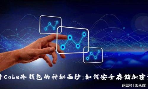 揭开Cobe冷钱包的神秘面纱：如何安全存储加密资产