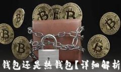 TP钱包是冷钱包还是热钱包？详细解析与使用建议