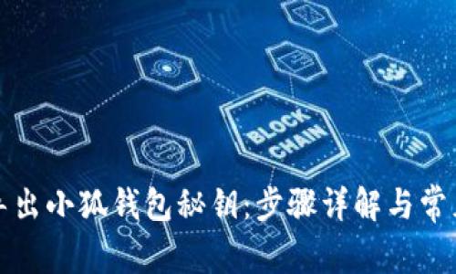 如何安全导出小狐钱包秘钥：步骤详解与常见问题解析