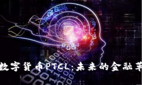深入解析数字货币PTCL：未来的金融革命与风险