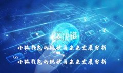 小狐钱包的现状与未来发展分析小狐钱包的现状