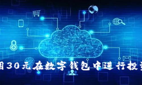 如何利用30元在数字钱包中进行投资与消费